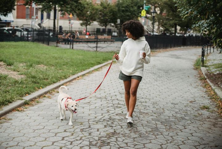 Set The Walking Pace Early