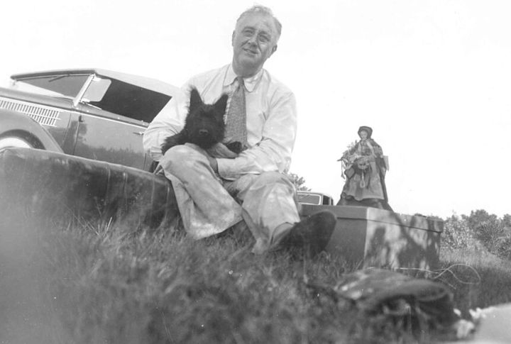 Franklin D. Roosevelt: Fala