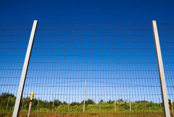 Use Fencing That's At Least Six Feet High