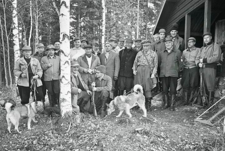 They Compete In Finland's Elite Hunting Trials