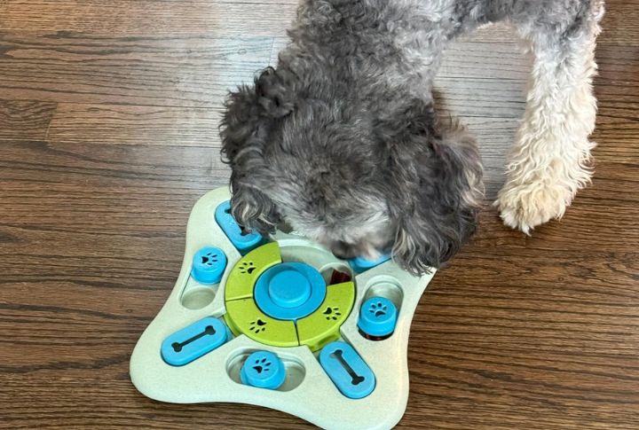 Rotate Puzzle Toys To Avoid Burnout