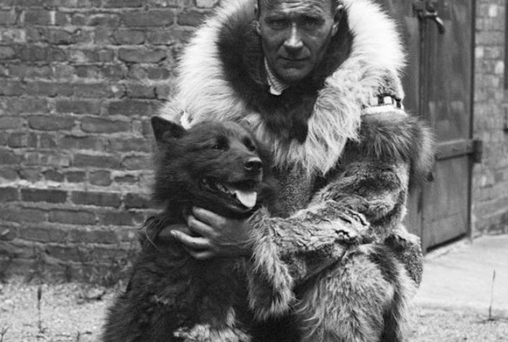 Balto: The Arctic Sled Dog Who Saved A Town