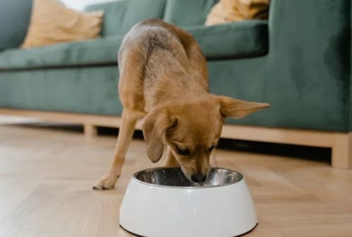 Changes In Appetite