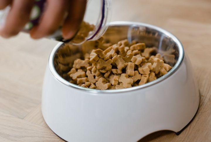 Nutrition During Puppyhood