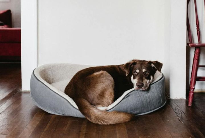 Create A Comfortable Sleeping Area
