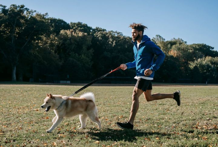 You Can Train Your Own Service Dog
