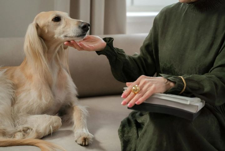 Detangling With Gentle Hands