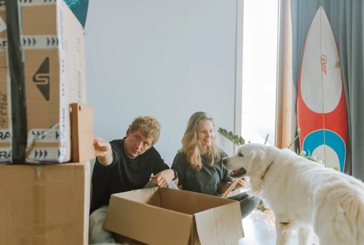 Create A Controlled Shredding Zone