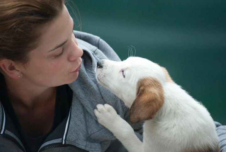 They Show You What Love Looks Like Without Conditions