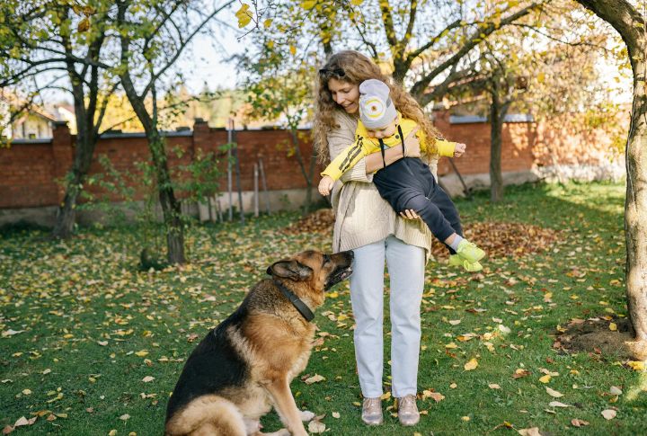 Kids and Shepherds Don’t Mix? Wrong.