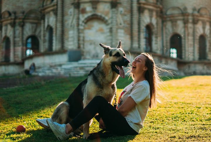Passing A Pet As A Service Dog Is Illegal In Many States