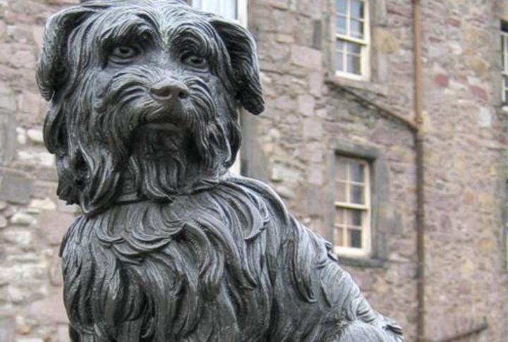 Greyfriars Bobby: Scotland’s Eternal Watchdog