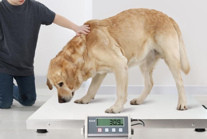 Unchecked Weight Fluctuations