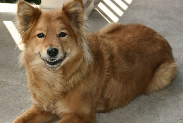 Their Native Bloodlines Stayed Remarkably Pure