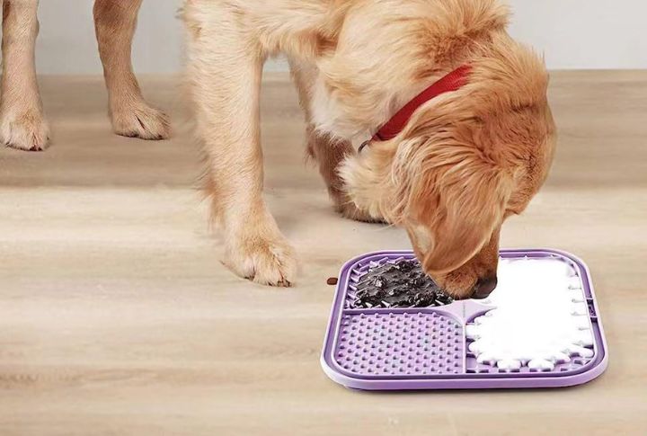 Make Lickmats A Creative Project