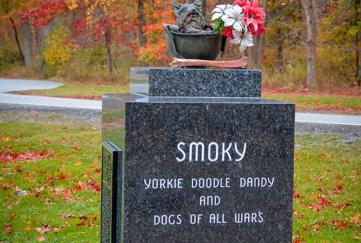 Smoky: The Pocket-Sized Hero Of WWII