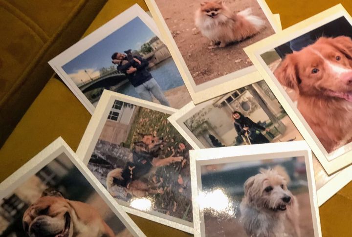 Compile A Photo Album Or Scrapbook