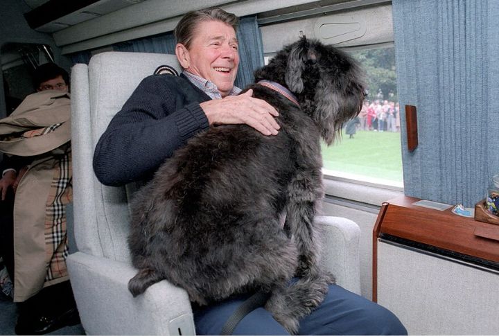 Ronald Reagan: Lucky
