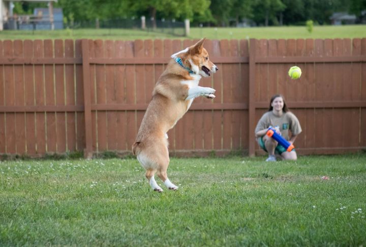 Jump (Better Alternative: On/Off)