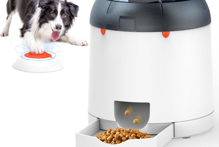 Invest In An Automated Treat Dispenser
