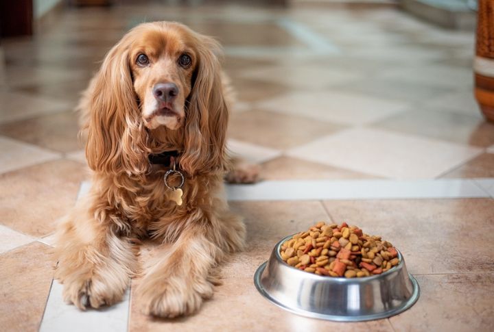 Food Can Trigger Their Health Challenges