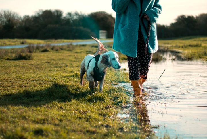 Don't Ignore Walking Hazards