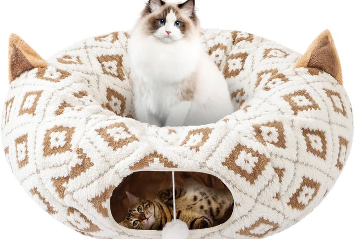 Adopt A New Family Member