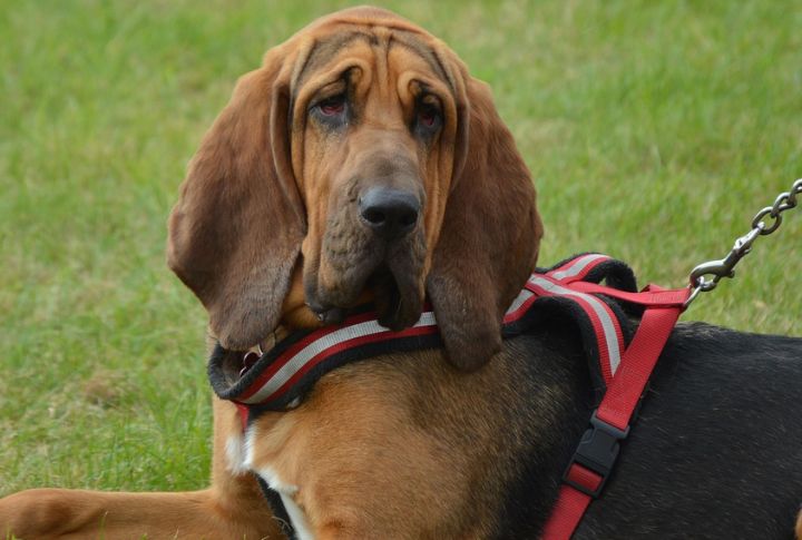Grooming Is Surprisingly Simple