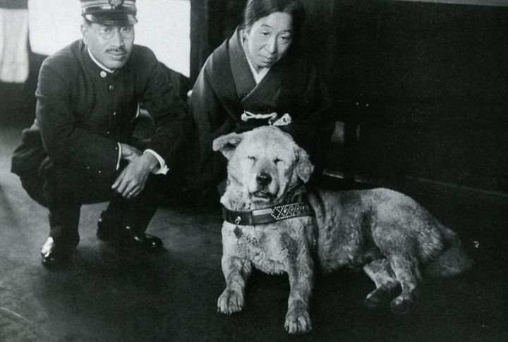 Hachikō: The Dog Who Waited 9 Years