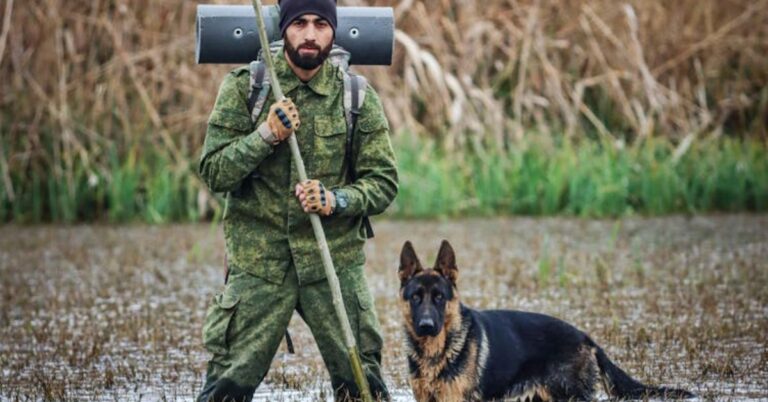 10 Steps To Start A Career In K-9 Military Operations
