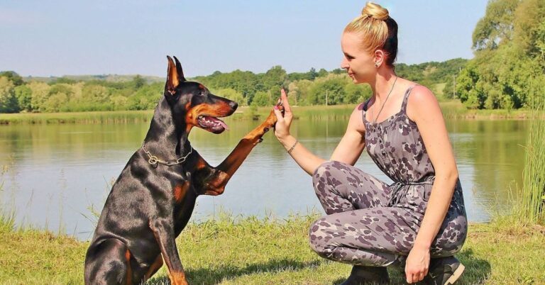 20 Dogs That Look Tough But Really Just Want to Snuggle