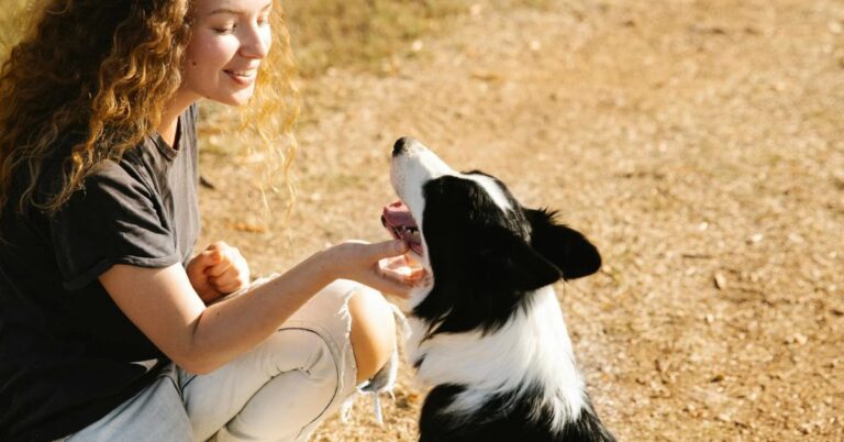 10 Behaviors You’ll Only See In Dogs That Feel Truly Loved