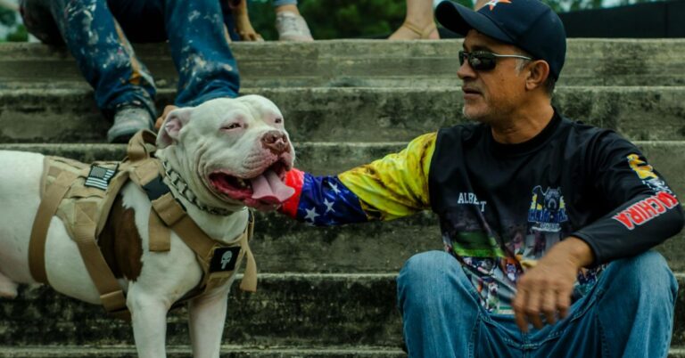 10 Ways To Help Pit Bulls Become The Best Companions