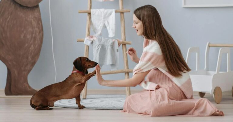 10 Commands Owners Should Ditch For More Effective Dog Communication