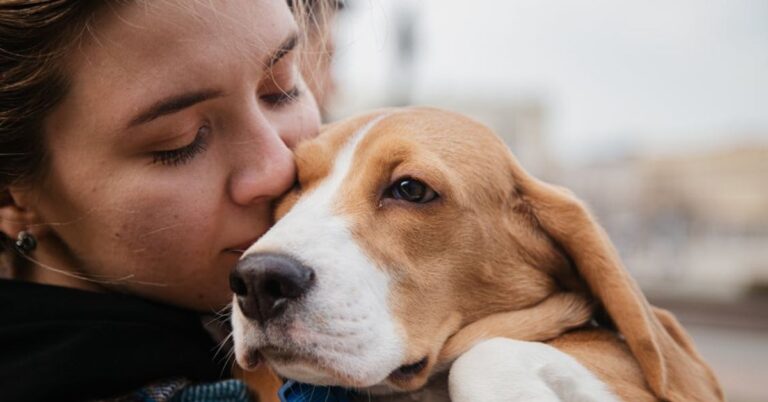 20 Ways To Keep Your Old Dog Happy And Healthy