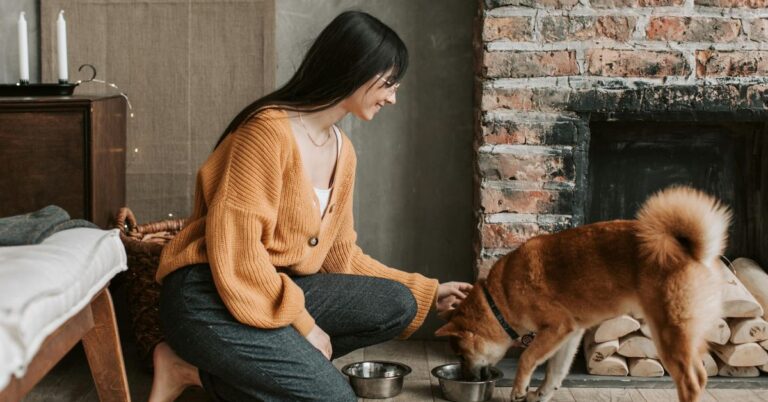 10 Unintentional Mistakes That Could Be Harming Your Dog