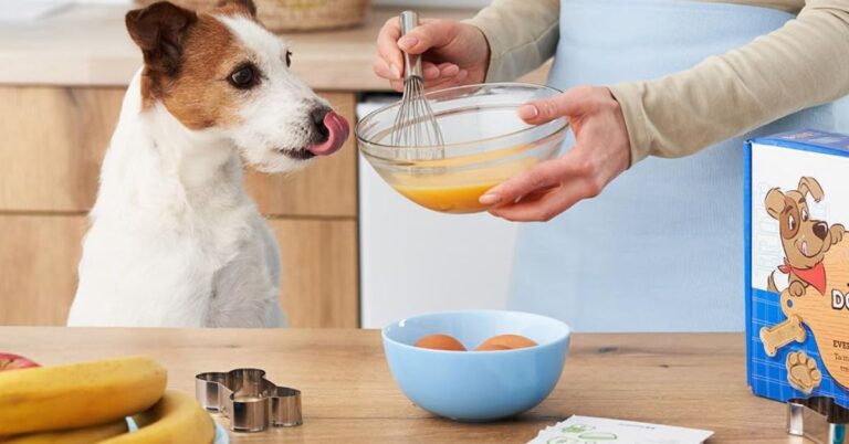 10 Benefits Of Making Dog Treats At Home