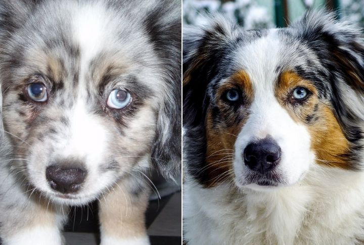 Eyes Difference