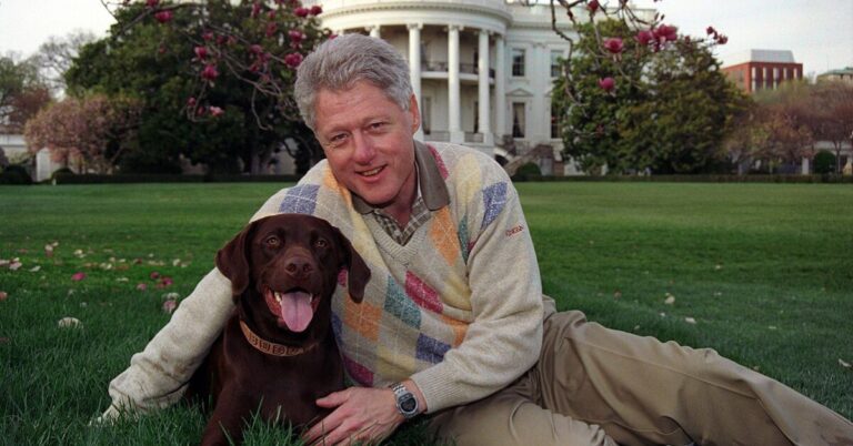 Dogs Who Became Part Of U.S. Presidential Legacies