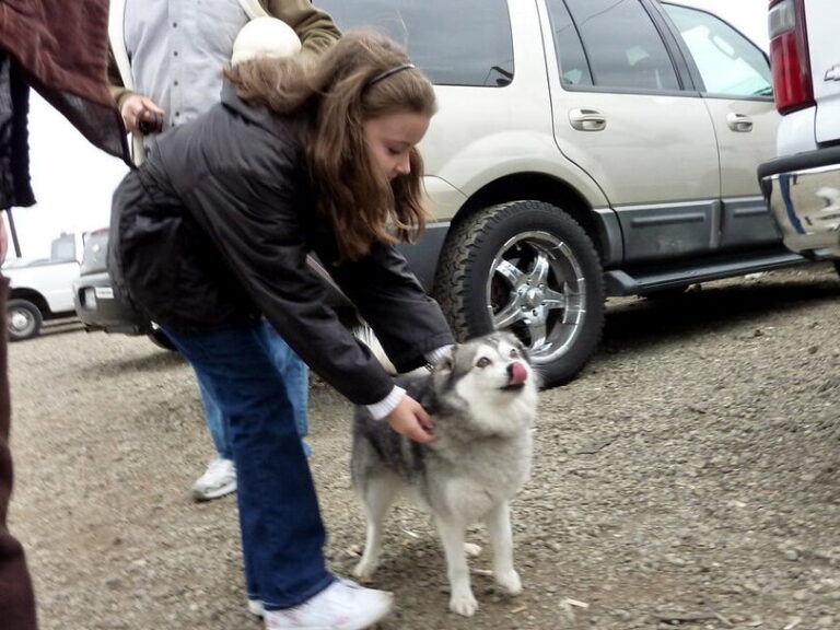 30 Small Dog Breeds That Stay Adorably Puppy-Sized Forever - Dog Breed Pro