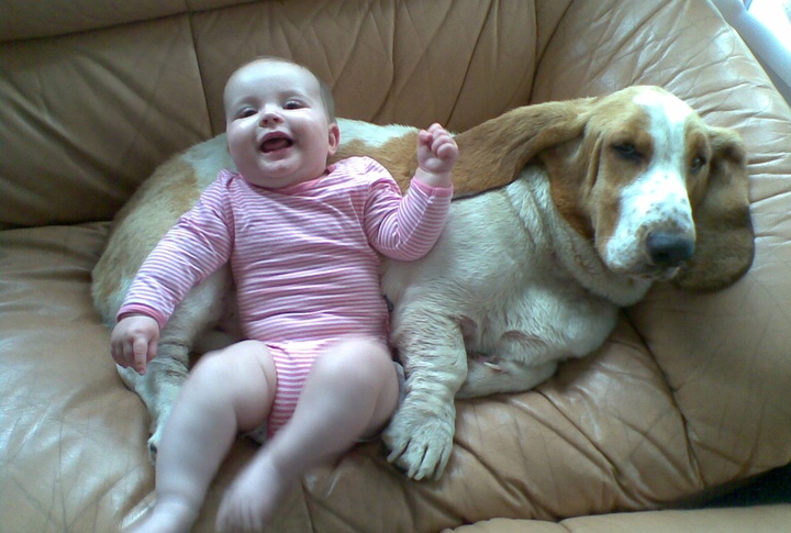Surprisingly Playful Side