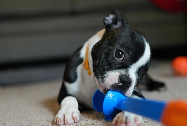 Indoor Play Is Enough To Stay Fit