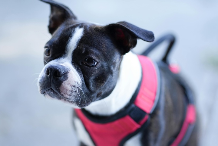 Quick To Learn Potty Training Rules