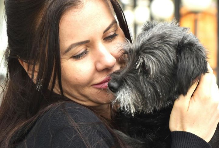 20 Age-Related Dog Changes You’ll Be Glad You Understood Early
