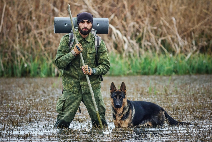 What PTSD Service Dogs Do And Why Veterans Rely On Them