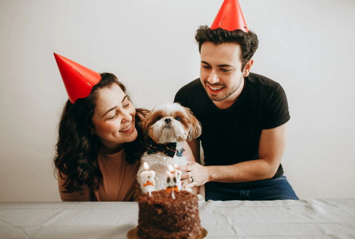 Create An Easy, Dog-Friendly Frosting