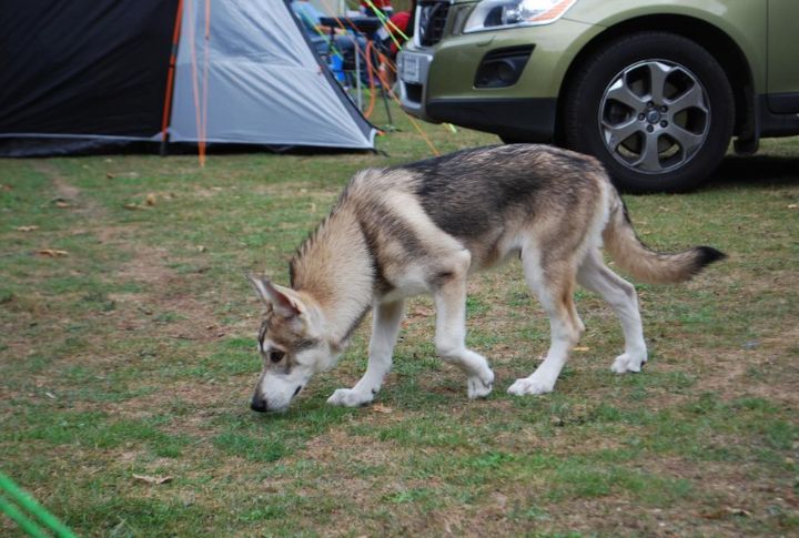 Utonagan