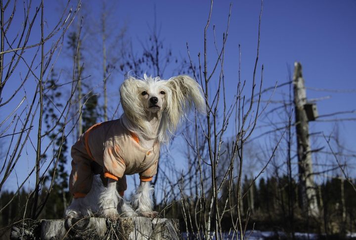Dressed For Temperature Control
