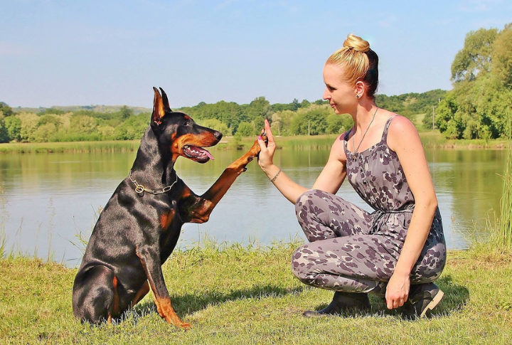 Commit To Lifelong Companionship