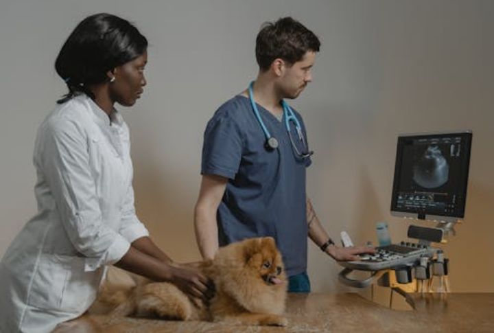 Physical Health Can Decline In Over-Crated Dogs
